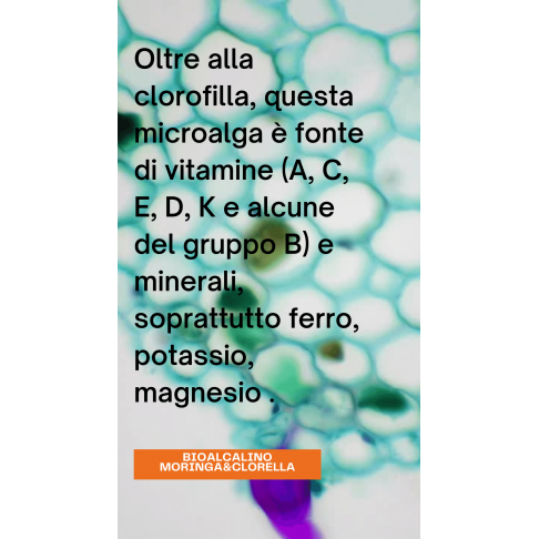 bioalcalino M&C moringa & clorella 90 capsule 450 mg metabolismo lipidi equilibrio peso raffreddore febbre drenaggio