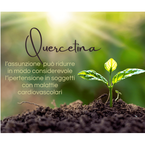 quercetina 200 mg capsule vegetali, antiossidante, anticoagulante, antinfiammatoria, antipertensiva e ipoglicemizzante