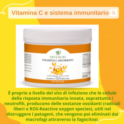 OR vitamina C ascorbato elevata biodisponibilità con pH tamponato (non acido) tollerata a livello gastrointestinale